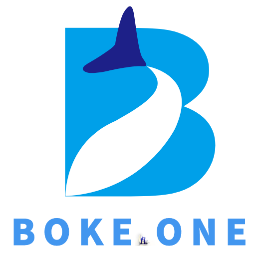 bokeone.png